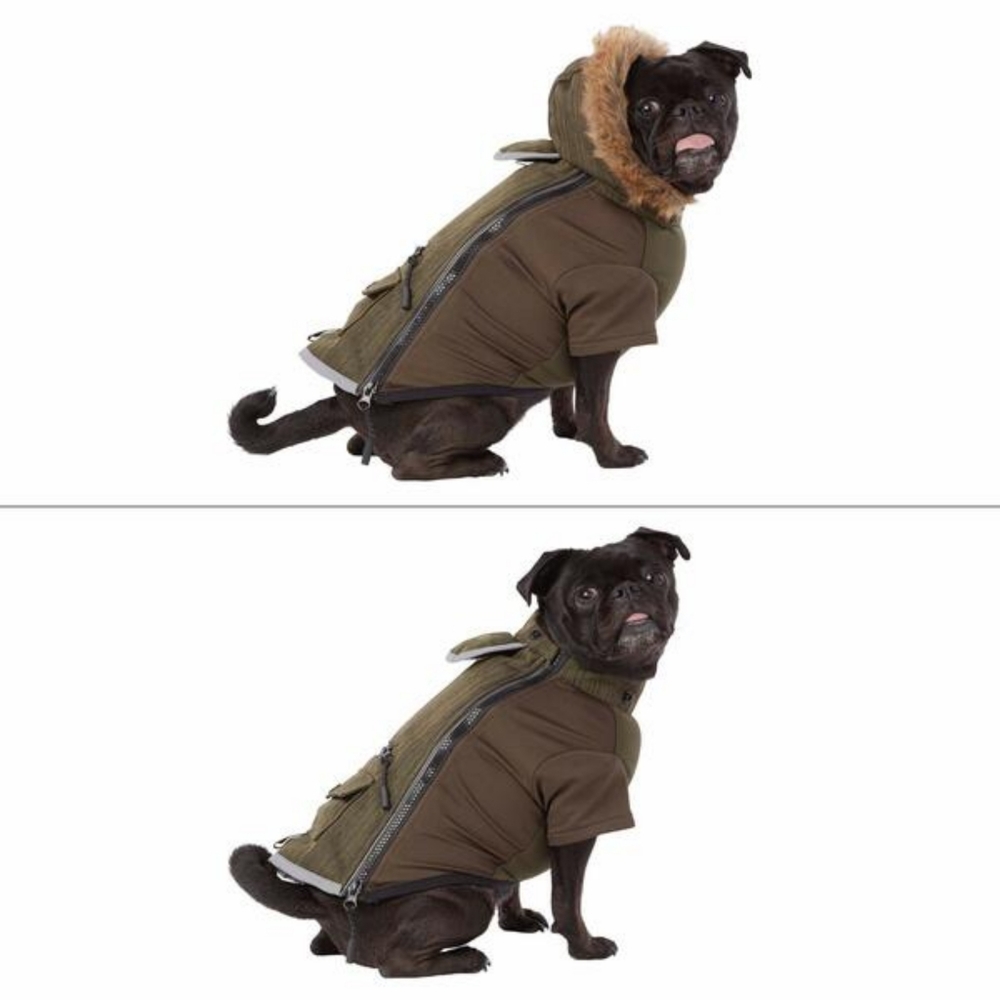 NWOT TOP PAW Reflective LED Pet Coat - Picture 2 of 4